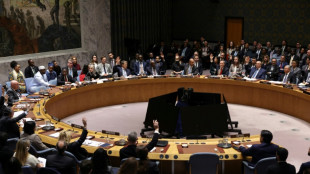 Le Conseil de sécurité de l'ONU vote pour une force internationale à Gaza