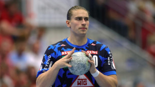 HBL: L&ouml;wen und SCM verlieren - F&uuml;chse zur&uuml;ck an der Spitze