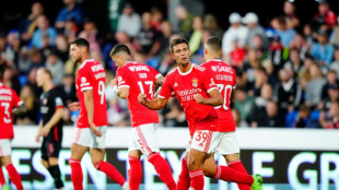 Benfica, Kyiv, Eindhoven and Rangers into Champions League play-offs