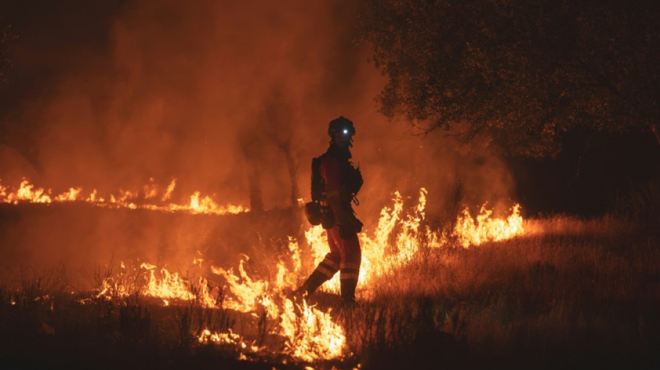  Firefighters race to stop wildfires merging near Madrid 