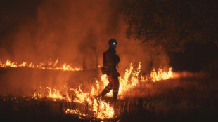 Firefighters race to stop wildfires merging near Madrid