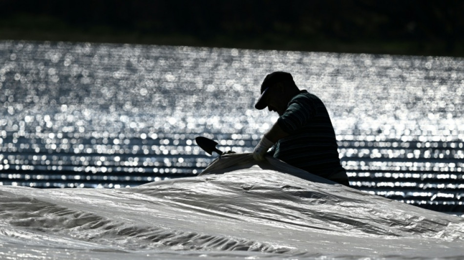 Saisonarbeiter: Arbeitsministerium will sozialversicherungsfreie Zeit verlängern