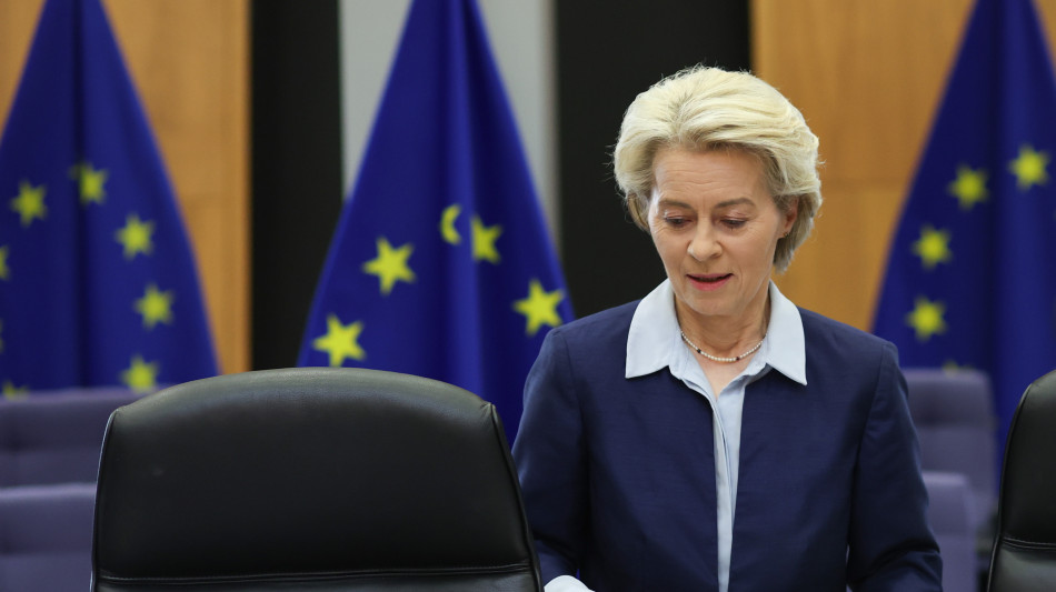 L'ex presidente finlandese far&agrave; un report sulla difesa Ue