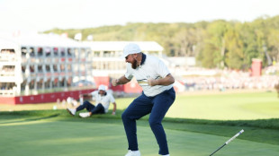 Ryder Cup: l'Europe tremble mais conserve le trophée, une première sur le sol américain depuis 2012