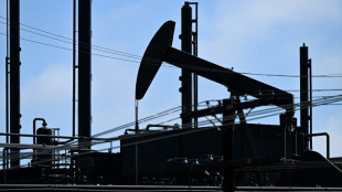 IEA trims demand forecast as interest rates weigh on growth