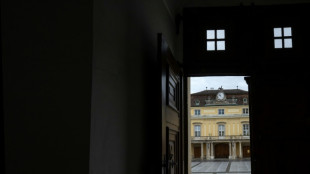 Austria hit with fresh spy claims after govt promises law change