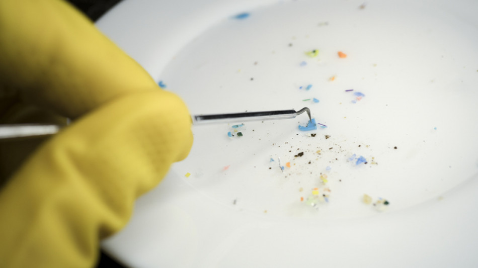  Microplastiche nel sistema nervoso, si apre una nuova pista sulla Sla 