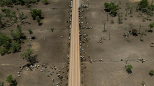 Setor agrícola da Bolívia aguarda mudança de governo para reativar produção