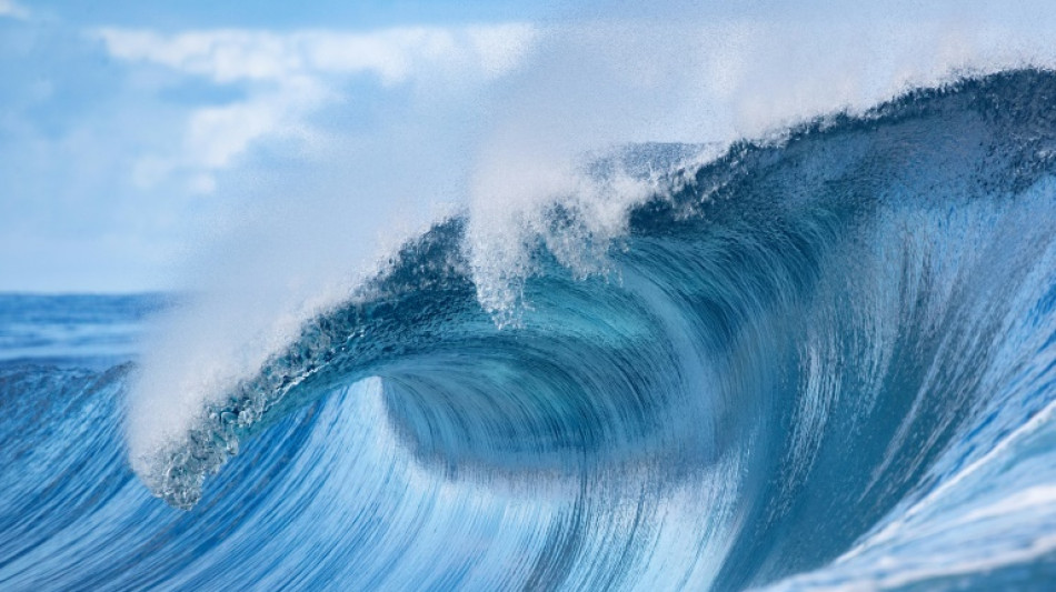 Teahupoo: la vague &agrave; lames