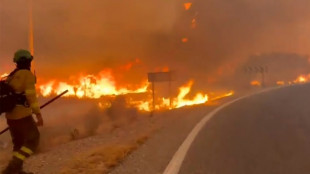 Inc&ecirc;ndio florestal deixa 11 mortos no sul da Espanha
