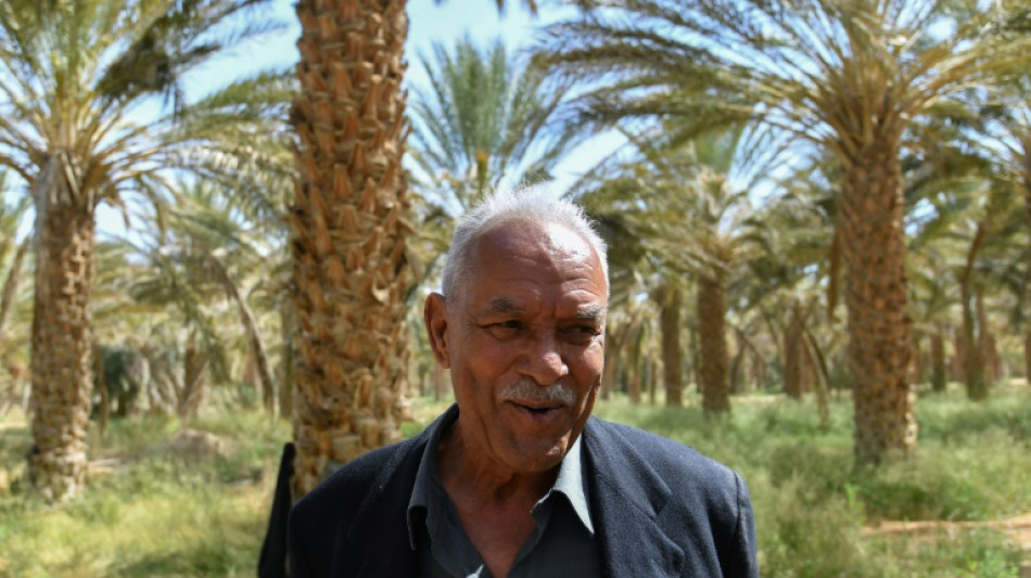 Tunisian 'revolution oasis' palm grove thrives on self-rule