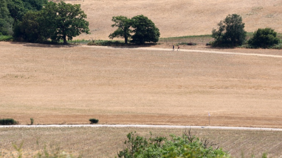  England, Wales had driest July on record: Met Office  