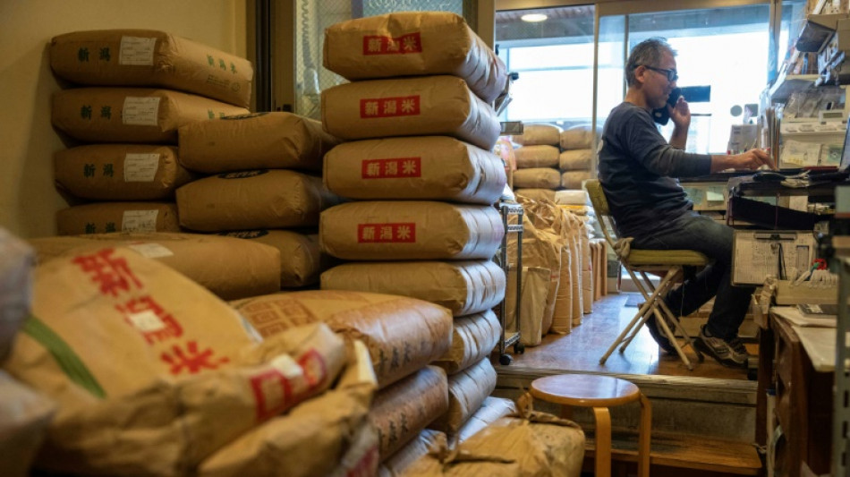 Jap&oacute;n quiere multiplicar por ocho sus exportaciones de arroz en cinco a&ntilde;os