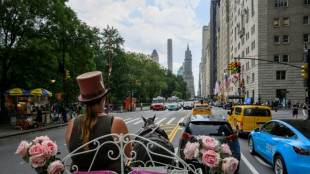 La menace plane &agrave; nouveau sur les cal&egrave;ches de Central Park