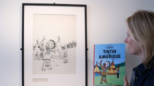 La couverture de "Tintin en Am&eacute;rique" adjug&eacute;e 2,16 millions d'euros