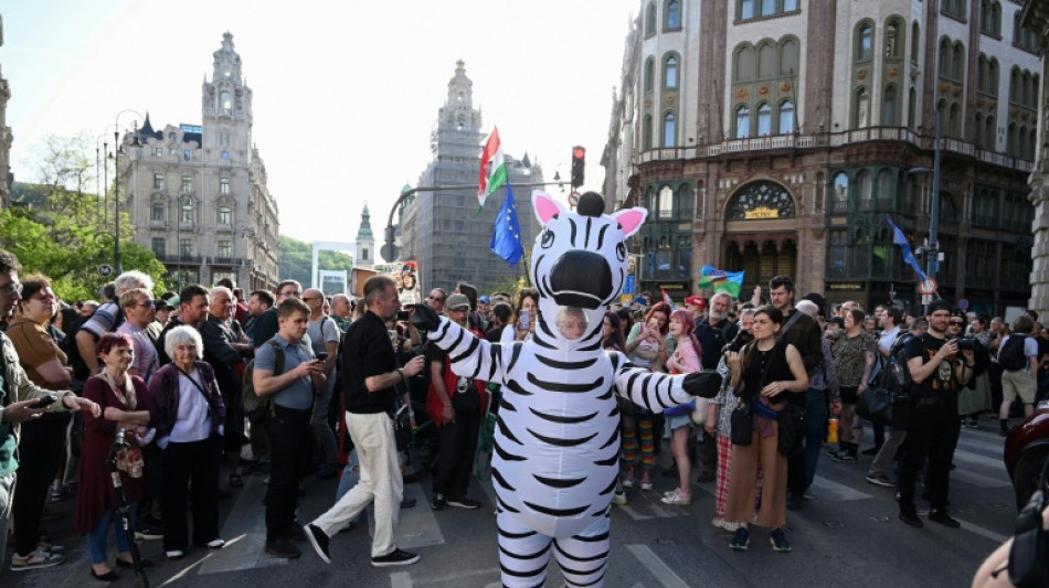  Hungria anuncia investiga&ccedil;&atilde;o sobre zebras pertencentes a associado de Orb&aacute;n 
