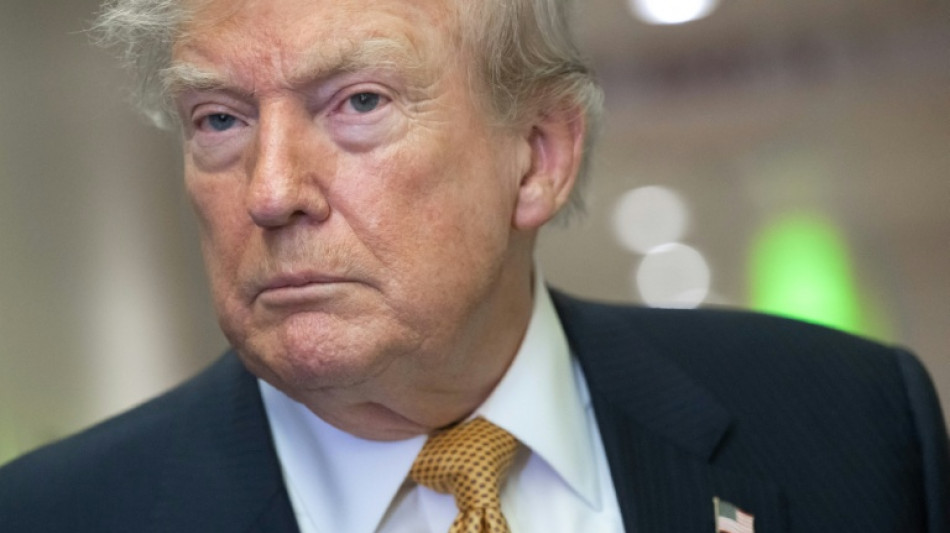  Trump despide a comisionados federales de elecciones antes de los comicios legislativos en EEUU 