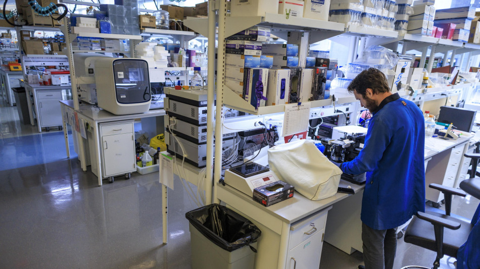 Ascoltato per la prima volta il linguaggio dei neuroni