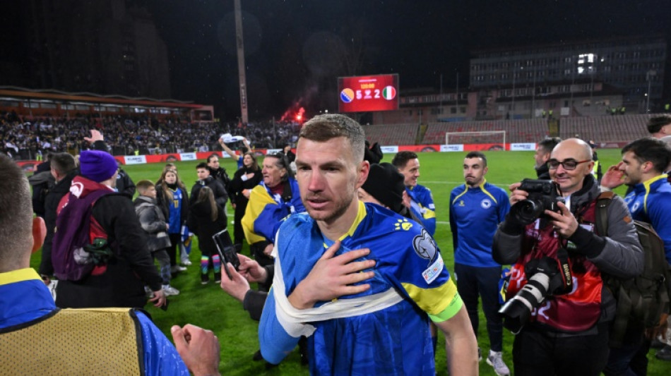  Edin Dzeko renova com Schalke 04 por mais um ano 
