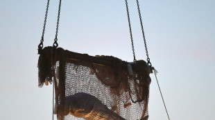 Ailing beluga put down as last-ditch French rescue bid fails