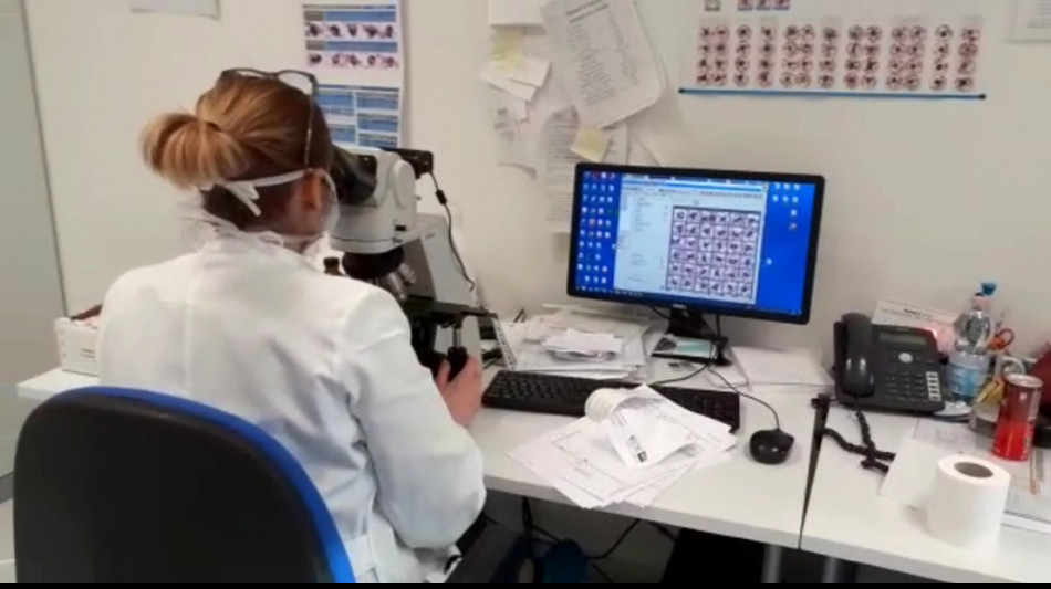  Fatti di alghe e meccanismi, i microrobot che volano in sciami 