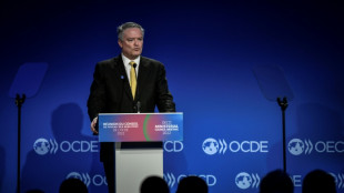 La OCDE aprueba hoja de ruta para adhesi&oacute;n de Brasil y Per&uacute;, pero no de Argentina