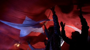 Erdogan-Anh&auml;nger feiern Wahlsieg in deutschen St&auml;dten mit Autokorsos 