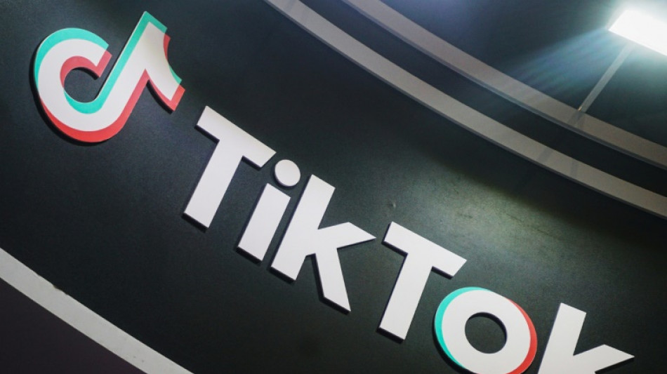 Albanien schaltet in den n&auml;chsten Tagen Tiktok ab