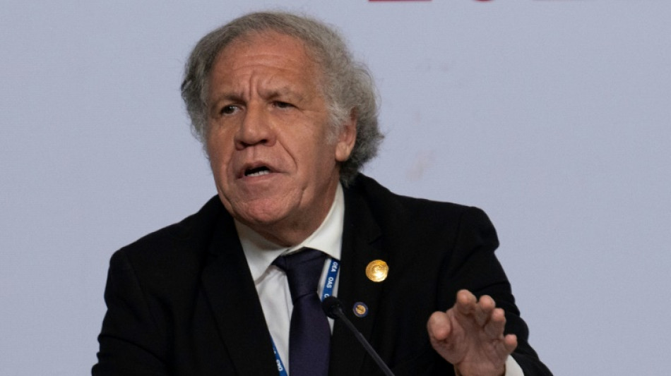 Almagro viol&oacute; "obligaciones &eacute;ticas" de OEA por relaci&oacute;n con subalterna, seg&uacute;n informe