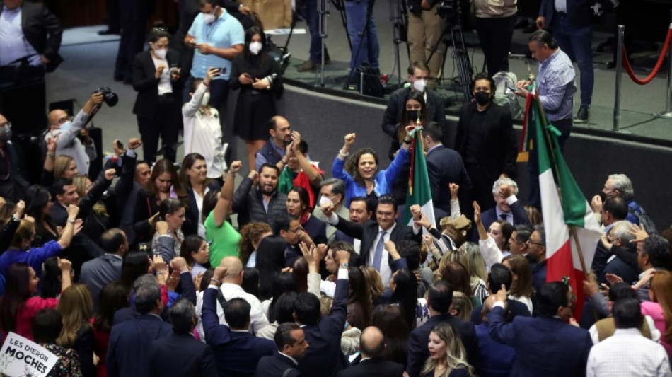 &iquest;Hacia d&oacute;nde avanza M&eacute;xico con sus cambios en el sector el&eacute;ctrico?