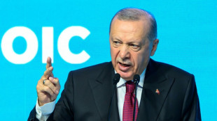 Erdogan: Bilder aus dem Gazastreifen sind "brutaler" als die aus KZs