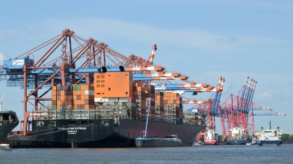  Fast 700 Kilogramm Kokain in Container mit Holzpellets in Hamburg beschlagnahmt 