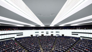 Bundeswahlausschuss entscheidet &uuml;ber Zulassung von Parteien zur Europawahl 2024