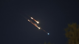 Putin, 'l'Iran non sta chiedendo aiuto militare alla Russia'