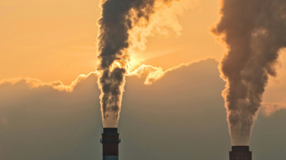  China carbon emissions 'flat or falling' in 2025: analysis 