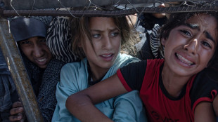 Onu chiede la massima pressione su Israele per aiuti Gaza