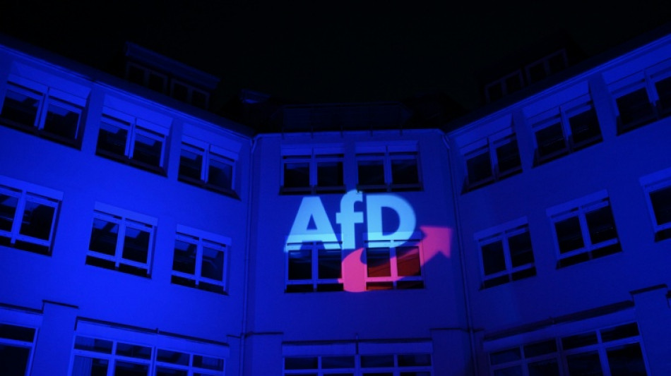  Besch&auml;ftigung von Partner - AfD-Abgeordnete aus Landesgruppe ausgeschlossen 