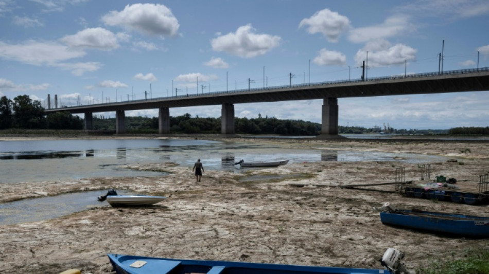  Mammoth bones found on parched bed of Danube in Bulgaria 