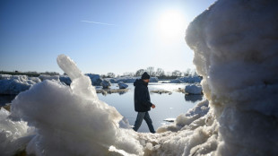 Spectacular ice blocks clog up Germany's Elbe river