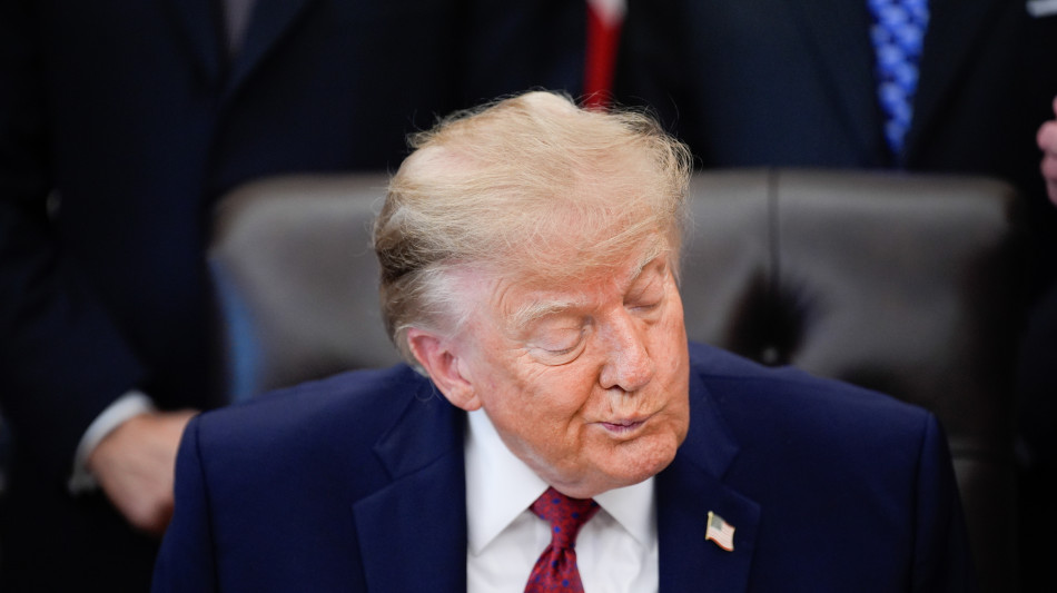  Trump, 'ho parlato con Netanyahu dell'incidente, il pilota un terrorista o un matto' 