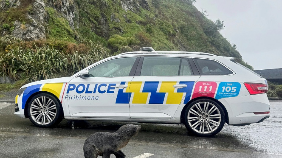 Nothing to seal here: NZ police help stranded pup home 