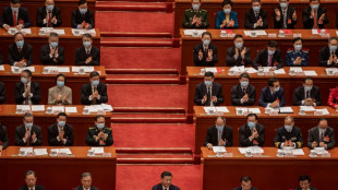 Studie: Chinesischen Banken droht der Ausfall vieler Seidenstra&szlig;e-Kredite