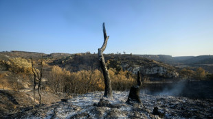 Le feu de l'Aude est sous contrôle mais pas encore éteint