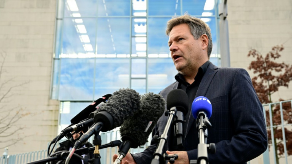 L'Allemagne d&eacute;fend ses semi-conducteurs face aux app&eacute;tits chinois