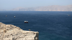 Media Iran, colpito porto vicino allo Stretto di Hormuz
