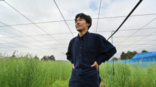'Moving forward': the Gen-Z farmer growing Fukushima kiwis