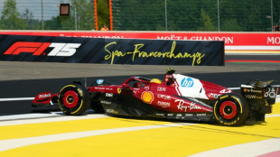 Hamilton suffers unprecedented spinning knockout in Belgian GP sprint qualifying