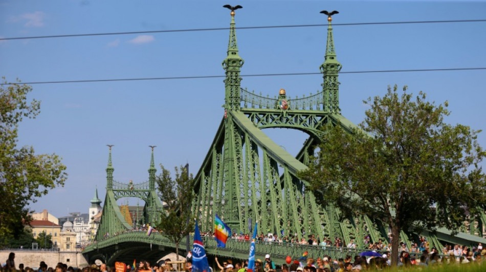 Hungr&iacute;a retira la enmienda que alentaba a delatar la homosexualidad