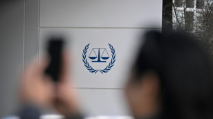 US vows campaign to end ICC 'threat' to Americans