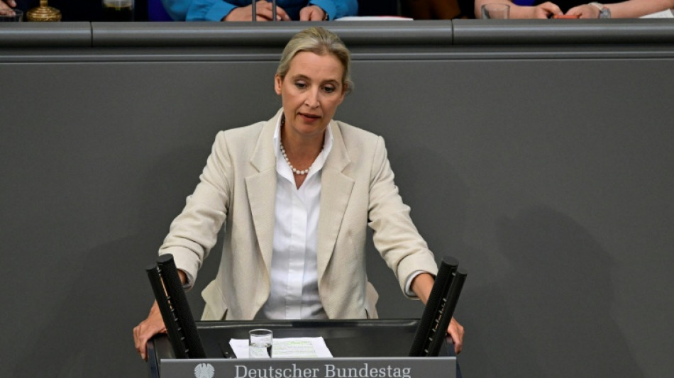 Weidel kritisiert Migrationspolitik von Schwarz-Rot als unzureichend